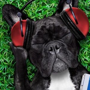 Meet your Posher, Deanna